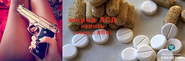 прущие грибы Алексеевка
