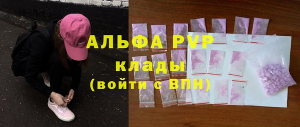 СК Алексин