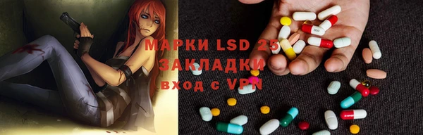 PSILOCYBIN Алзамай