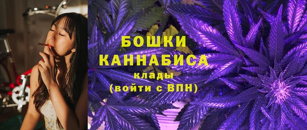 PSILOCYBIN Алзамай