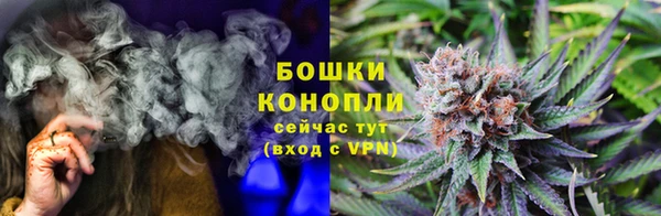 PSILOCYBIN Алзамай